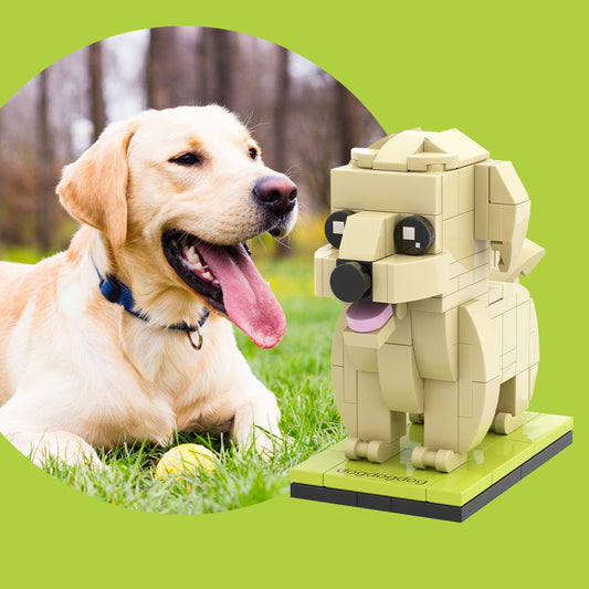 Pets Evacraft